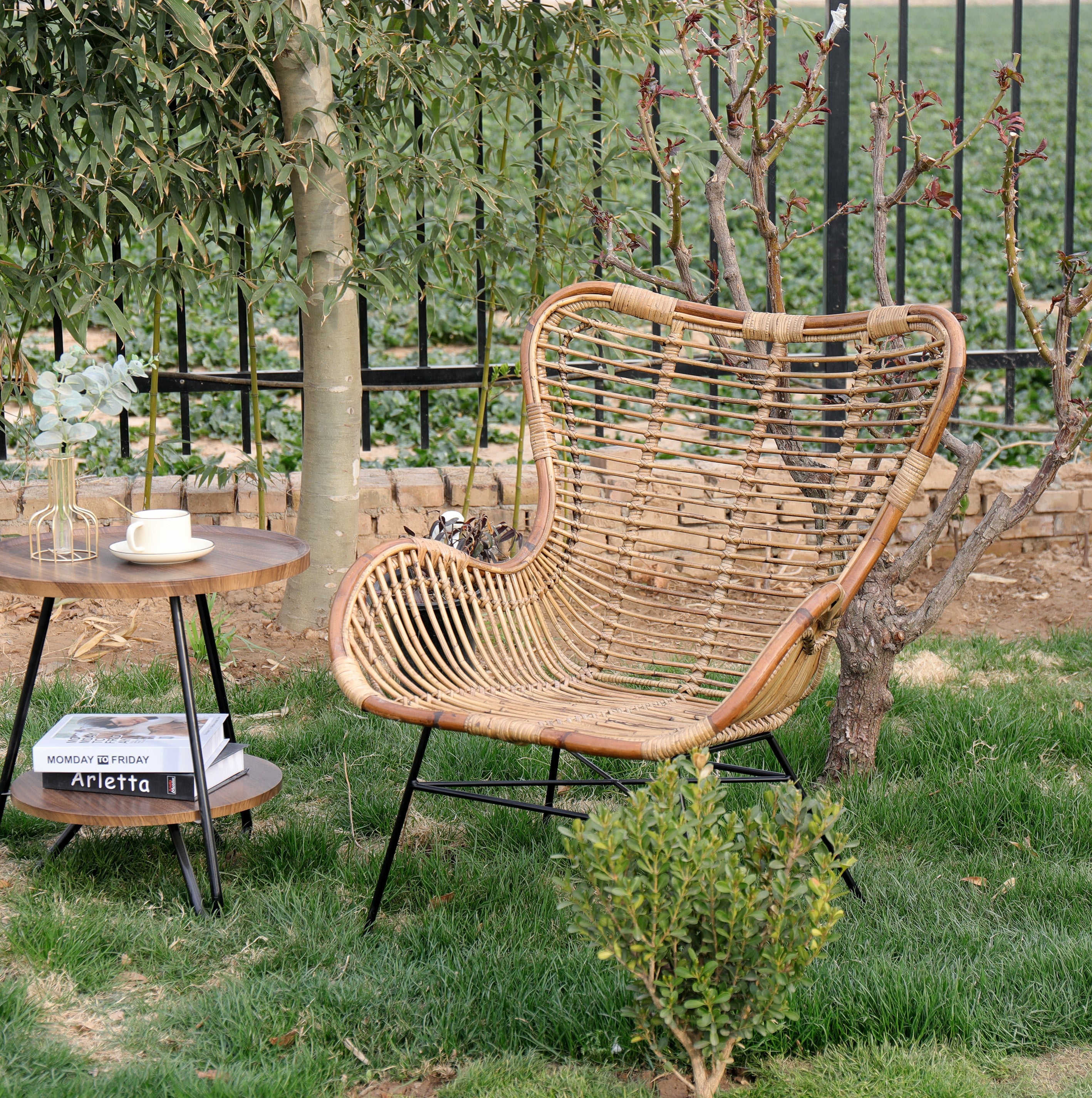 Fauteuil en métal et rotin naturel